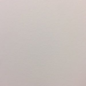 Meet your Posher, Lacy